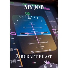 나의직업항공기조종사