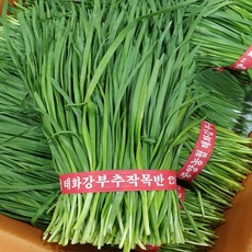 부추 1단 (500g내외) 영양가득 봄부추, 01. 부추 1단(500g내외)