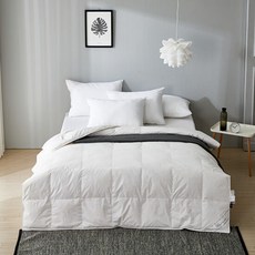 구스앤홈여름구스이불