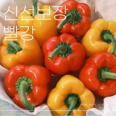 더조은파프리카