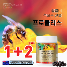 뉴질랜드프로폴리스 청정 그린 프로폴리스 PROPOLIS 600mgx365 프로폴리스원액 담은 프로폴리스캡슐 필름형프로폴리스 프로폴리스리퀴드 보다 먹기 편한 호주프로폴리스 브라질프로폴리스 호주산프로폴리스 뉴질랜드 프로폴리스추천 프로폴리스2000 플로폴리스, 3box, New Zealand PROPOLIS
