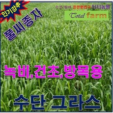 피크가성비풀씨씨앗/목초용씨앗/수단그라스700g최저가, 상세페이지 참조