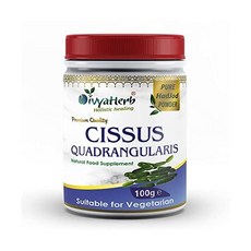 이나영시서스알약