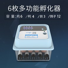 ce20aa975d2b9f1071817daf280e10517eb933e4f12be16b8a2512f700d3.jpg