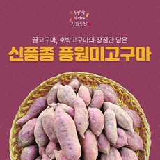 초록초이 유기농 달수 꿀고구마 베니하루카 숙성고구마 1개 특상 5kg 상품 이미지