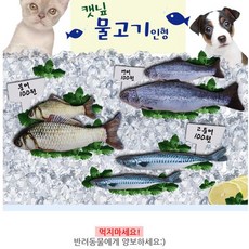 애견치킨 삑삑이 고양이 죽 애견베지믹스 귀리씨앗 젤리 애견두유 반려묘 캔디 스프 스낵 캣 간식 캔 한우스틱 풀 닢볼 한우육포 수프 생선 츄르 닙 물고기 봉제인형L 애견콩불고기 그라스 스낵볼 스낵간식 헤어볼 닢 연어간식 사탕 아기간식 애견식 과자 템테이션 간식캔, 로드 연어