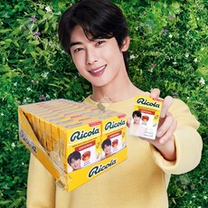 리콜라 차은우 리미티드 에디션 캔디 한박스 20개입 대용량 단체선물, 1개, 800g, 오리지널 허브