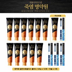 죽염 [방송구성]죽염 명약원 치약 더블세트(치약12개+칫솔4개)., 1개