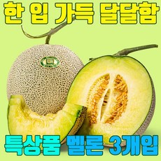 세지 메론 머스크 멜론 특대 5kg 노란 박스 1.6 머스크메론 세지메론세트, 세지멜론2개