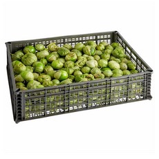 Tomatillos 토마티요 35lb