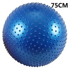 임산부기구필라테스.책