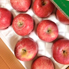 사과 예산사과 꿀사과 부사사과 청송 사과선물세트 3kg 5kg, 1박스, 3kg중과(10~13과)