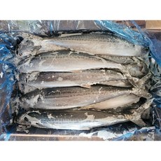 힘찬푸드 국내산 냉동 겨울 삼치 구이용 조림용 업소용, 1박스, 25~30마리