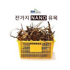 SM 가지 나노 유목 [1box], 1개