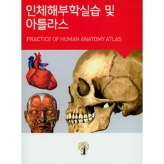 인체해부학컬러링실습노트