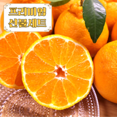 [제주햇살] 백화점납품 프리미엄 한라봉 선물세트, 1개, 1.5kg(중대과)