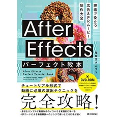 After Effects 완벽한 교본 현장에서 도움 광고 & PR 동영상 제작 대전, 단일옵션