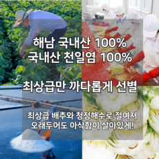 절임배추20kg양념