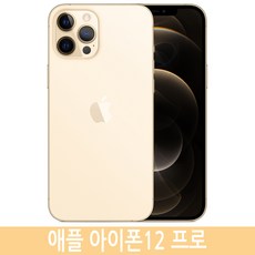 아이폰12프로 iPhone12 Pro 자급제, 골드, 256GB