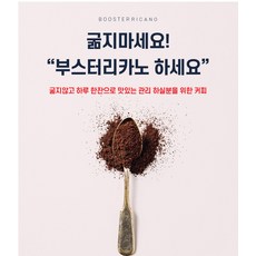 부스터리카노