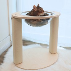  캣츠빌 해먹 스크래쳐, 1개 