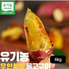 토글토글 유기농 무안 황토꿀고구마 6kg, 단일옵션