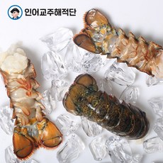//상품명