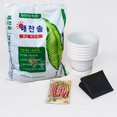 재배소년