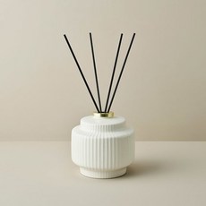 [테일러센츠] OBJET LINE 카빙디퓨저_가든브리즈 2L, 단품