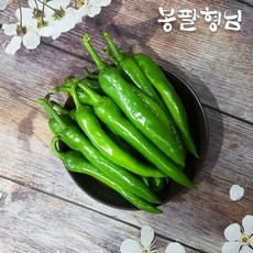 봉팔형님참외