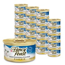 팬시피스트주식캔