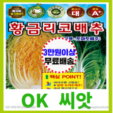 [OK씨앗] [황금리코배추] 김장배추씨앗(오케이씨앗)