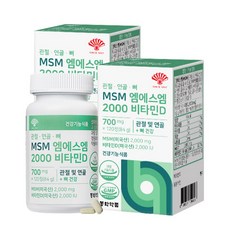 동화약품 관절 연골 뼈 MSM 엠에스엠 2000 비타민D 84g, 2개, 120정