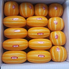 //상품명