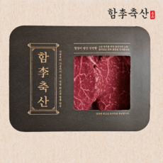 [신선보장] 아이도 잘 먹는 1등급 고급 한우 안심 (냉장), 1개, 300g