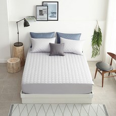 SESA 스탠디2 알러지케어 누비 매트리스커버 S, 없음