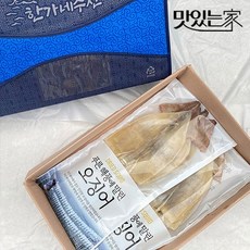 명품 마른오징어/반건조오징어 선물세트, 04.반건조오징어세트 (대)10마리, 1개