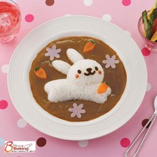 이홈베이킹 카레라이스 데코틀 (모양3종+햄커터1종), 1개