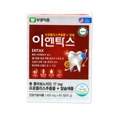 부광약품 이엔탁스, 60정, 1개