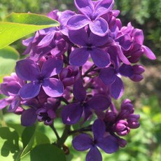 f9e5d4ede9cb9a253fe8bde3532dad386cdf03c6e719b8f1457a410d9af3.jpg