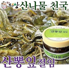 팔도보부상 산뽕잎 절임 500g 냉동식품 김치 반찬 조림류 냉장 피클 산나물천국 장아찌, 1개