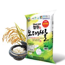 철원오대쌀 쌀통령 2020년 4kg, 1포