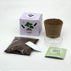 팜팜농장관찰일지