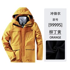 7d98d7c190e260ec8d2ec325f9e8fe0d918247067ca8b2af7eeddeedc703.jpg