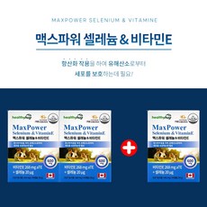 시서스갑상선기능저하