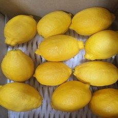 덤앤덤제주, 제주 레몬 2kg