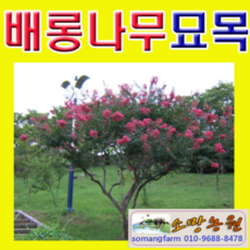 944546e9c0fa18de1fa1d74c2020da07b8e9e99f2a91ed6d8e99adbecaae.png