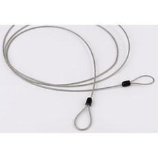 유럽캐리어도난방지