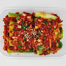 [초록반찬] 당일제조 가정식 수제 반찬 집반찬 모듬전 모음, 오이소박이, 1개, 600g