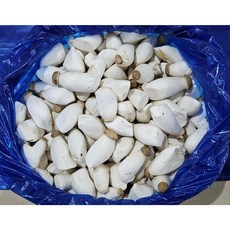도담농산 미니새송이버섯 2kg 당일수확 당일발송, 새송이버섯2kg(미니), 6개